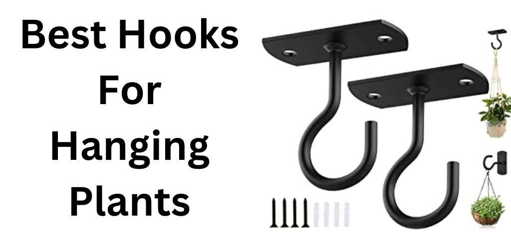 Top 9 Best Hooks For Hanging Plants Reviews & Guide