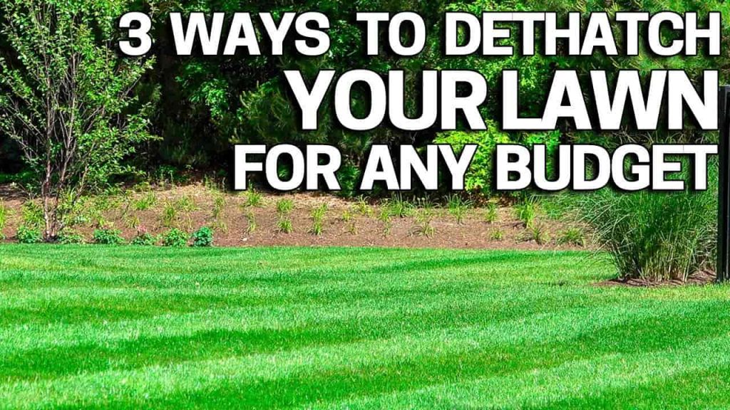 How To Dethatch A Lawn Easily