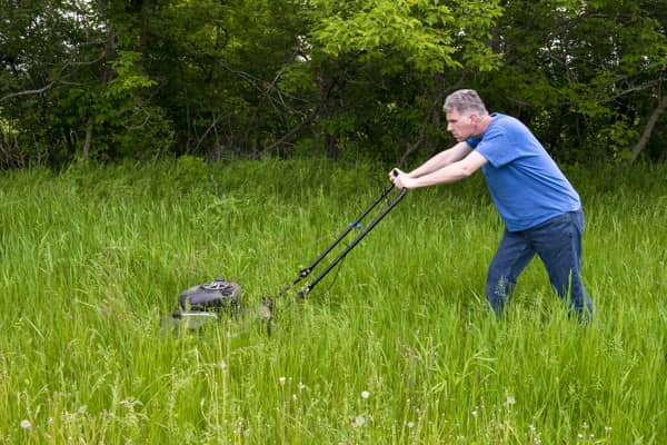 How To Mow Tall Grass